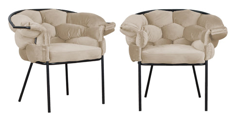 Audrey - Mink Velvet Black Leg Dining Chair, Set of 2-Chair Set-Belle Fierté