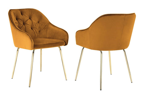 Finley - Burnt Orange Velvet Gold Leg Dining Chair, Set of 2-Chair Set-Belle Fierté