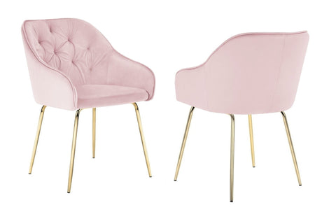 Finley - Pink Velvet Gold Leg Dining Chair, Set of 2-Chair Set-Belle Fierté