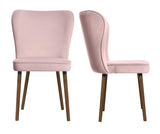 Celine - Pink Velvet Dining Chair, Set of 2-Chair Set-Belle Fierté